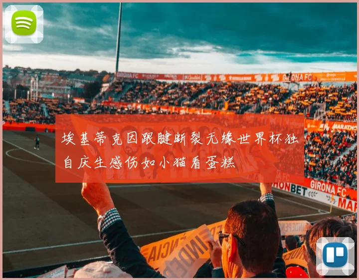 埃基蒂克因跟腱断裂无缘世界杯独自庆生感伤如小猫看蛋糕